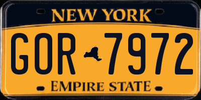 NY license plate GOR7972
