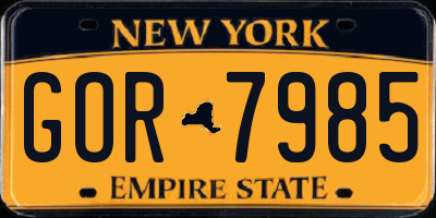 NY license plate GOR7985