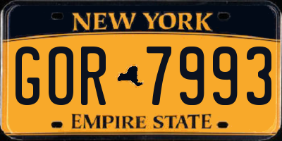 NY license plate GOR7993