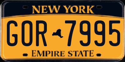 NY license plate GOR7995