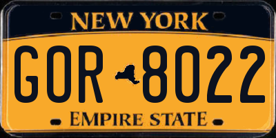 NY license plate GOR8022