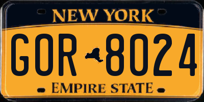 NY license plate GOR8024