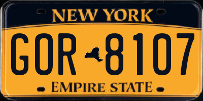 NY license plate GOR8107