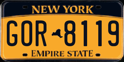 NY license plate GOR8119