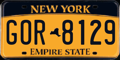 NY license plate GOR8129