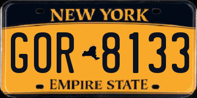 NY license plate GOR8133