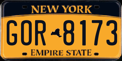 NY license plate GOR8173