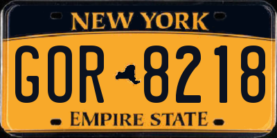 NY license plate GOR8218