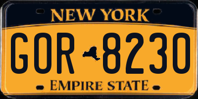 NY license plate GOR8230