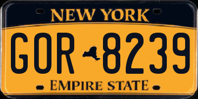 NY license plate GOR8239