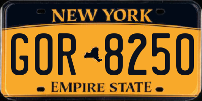 NY license plate GOR8250