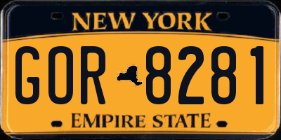 NY license plate GOR8281