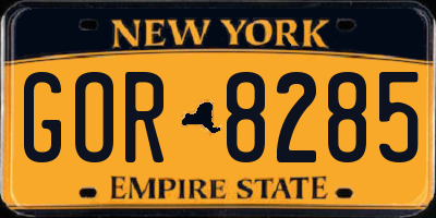 NY license plate GOR8285