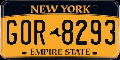 NY license plate GOR8293