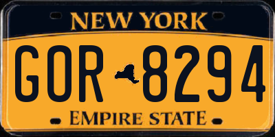 NY license plate GOR8294