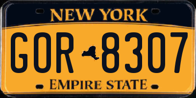 NY license plate GOR8307