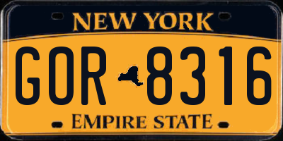 NY license plate GOR8316