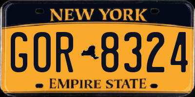 NY license plate GOR8324