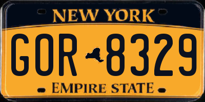 NY license plate GOR8329