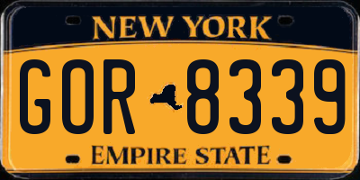 NY license plate GOR8339