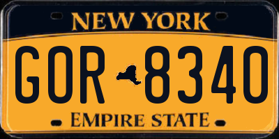NY license plate GOR8340