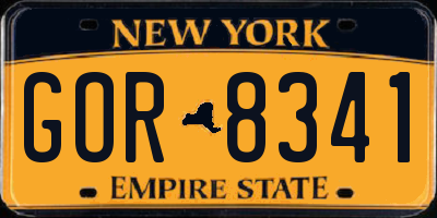 NY license plate GOR8341