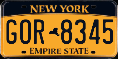 NY license plate GOR8345