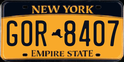 NY license plate GOR8407