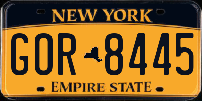 NY license plate GOR8445