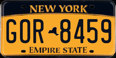 NY license plate GOR8459