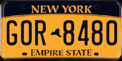 NY license plate GOR8480