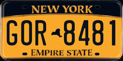 NY license plate GOR8481