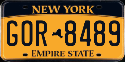 NY license plate GOR8489