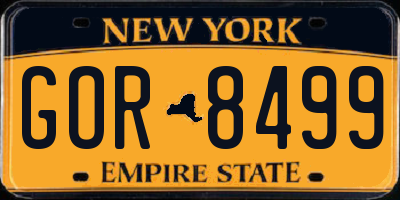 NY license plate GOR8499