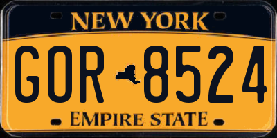 NY license plate GOR8524