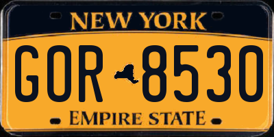 NY license plate GOR8530
