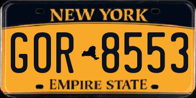 NY license plate GOR8553