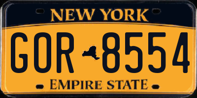 NY license plate GOR8554