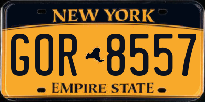 NY license plate GOR8557