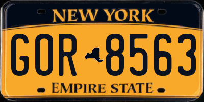 NY license plate GOR8563