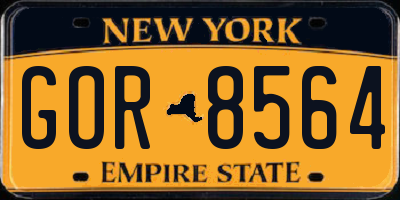NY license plate GOR8564