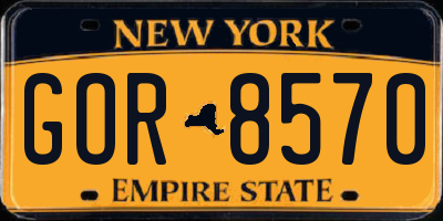 NY license plate GOR8570