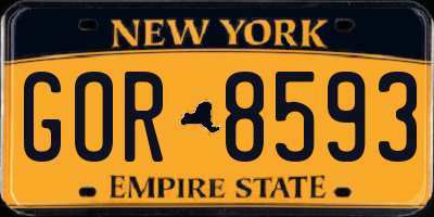 NY license plate GOR8593