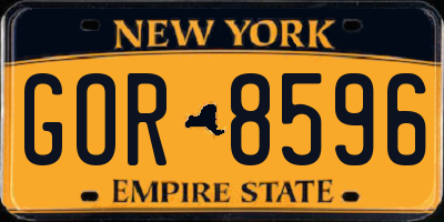 NY license plate GOR8596