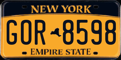 NY license plate GOR8598