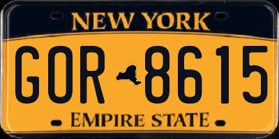 NY license plate GOR8615