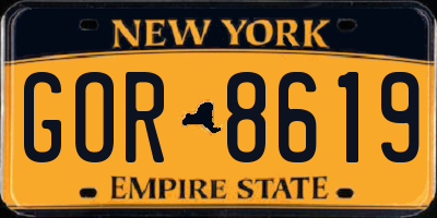 NY license plate GOR8619