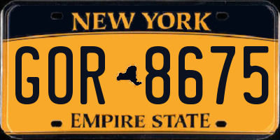 NY license plate GOR8675