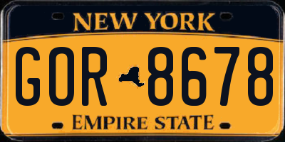 NY license plate GOR8678
