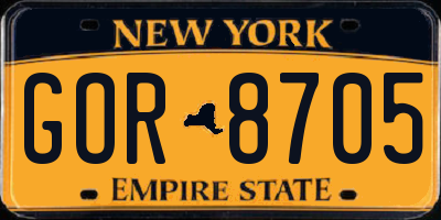 NY license plate GOR8705